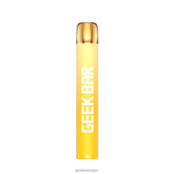 Geek Bar e600 wegwerpdamp - Geek Bar Discount 0XZ40199 fuji-meloen