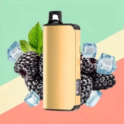 AliBarBar Ingot - Blackberry Ice - 22ml - 9000 Trekjes